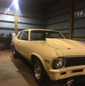 Meet your Posher, Everett